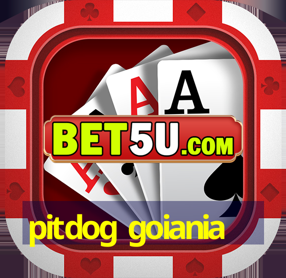 pitdog goiania